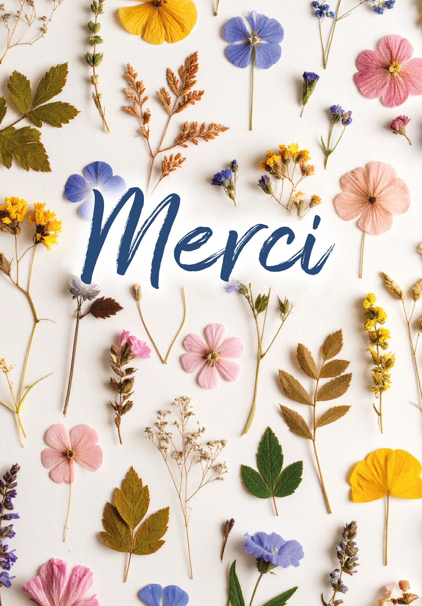 Merci - Fleurs séchées multicolores (Valeur du bon)