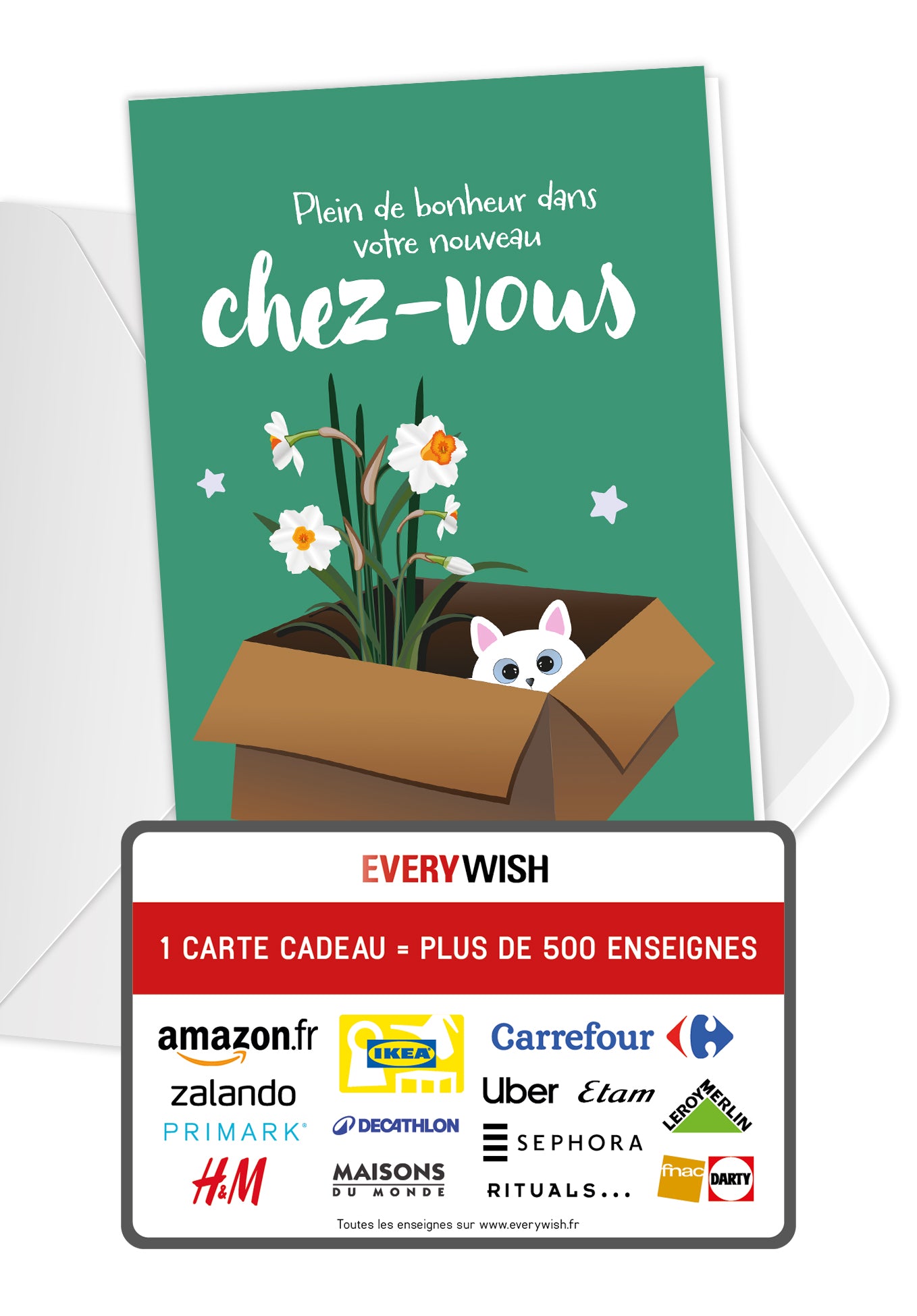 Plein de bonheur dans votre chez-vous - Chat et fleur
