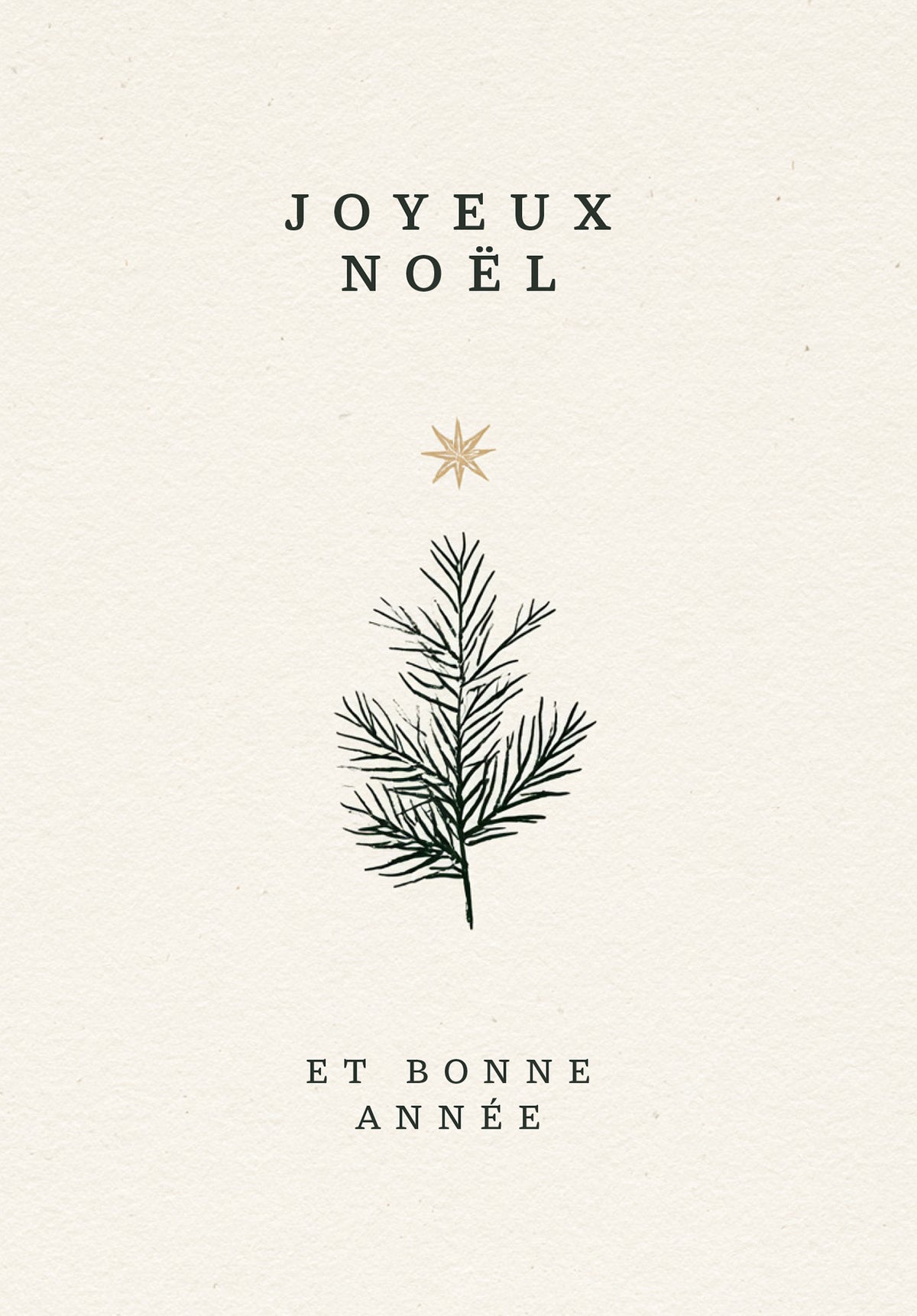 Joyeux Noël et bonne année - Branche et Étoile