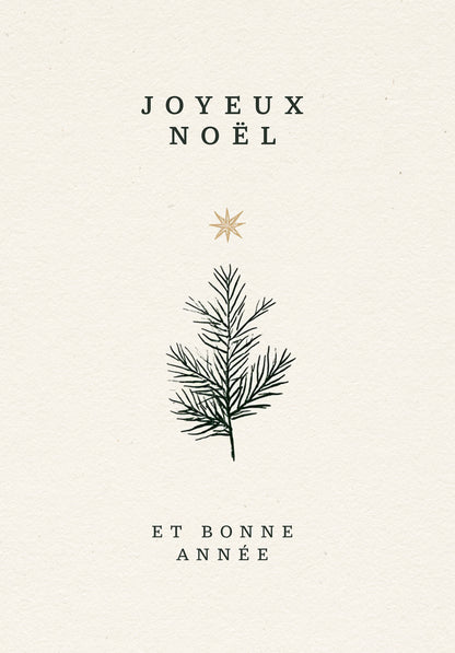 Joyeux Noël et bonne année - Branche et Étoile