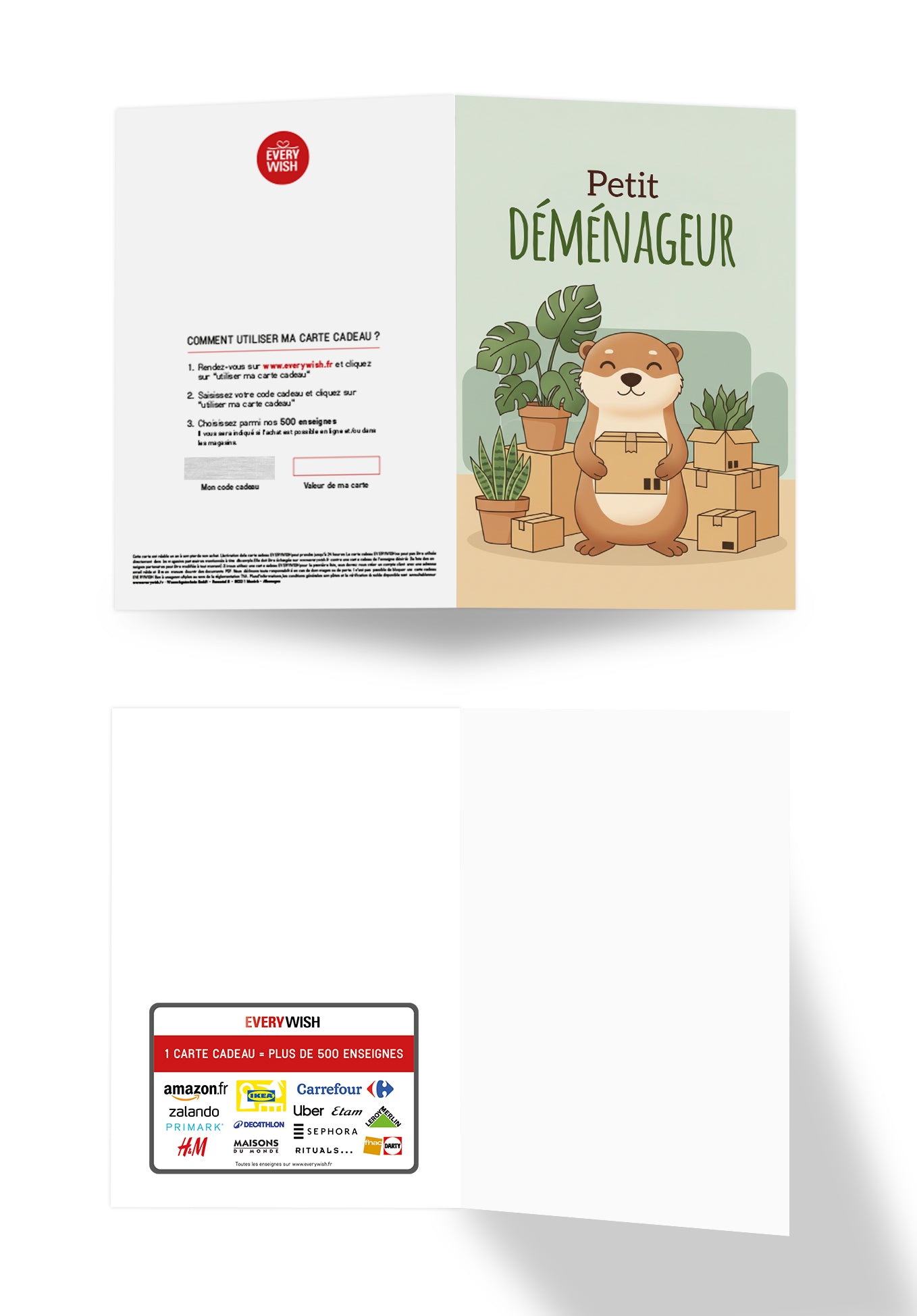 Petit demenageur - Loutre