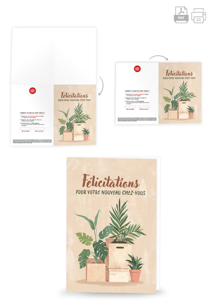Felicitatiobs pour votre nouveau chez-vous - Cartons et plantes