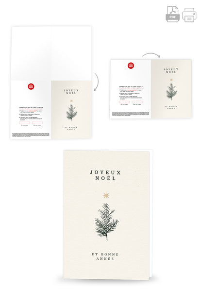 Joyeux Noël et bonne année - Branche et Étoile