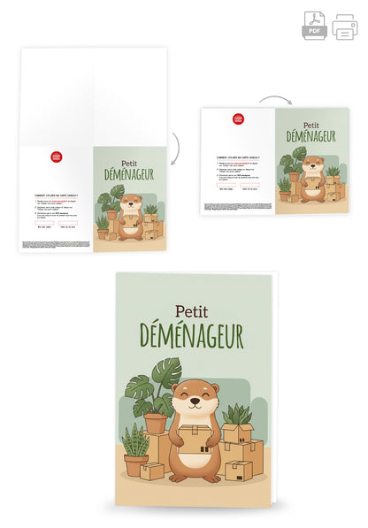 Petit demenageur - Loutre