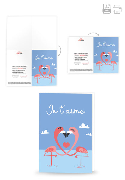 Je t'aime - Flamants roses