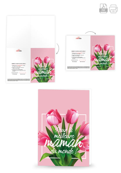 Pour la meilleure maman - Tulipes roses